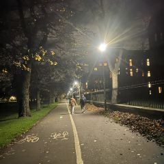 Söderberg The Meadows User Photo