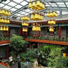 锦德顺 User Photo