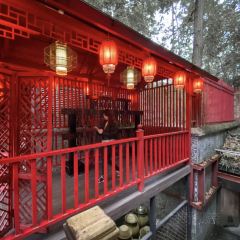 众人熙熙 User Photo