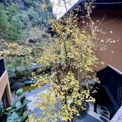 重庆朴乡金佛山度假酒店·朴乡餐厅 User Photo