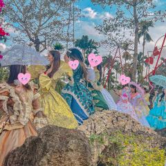 白宫花园自助烧烤 User Photo