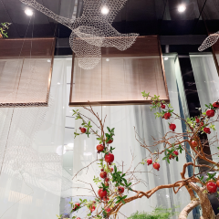 苏杭春晓(滨湖新天地店) User Photo
