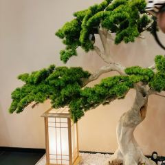 麺屋庄野研究所·麺や庄の研究所 User Photo