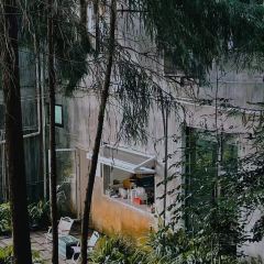 Wild Coffee Studio User Photo