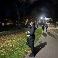 Söderberg The Meadows User Photo