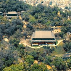 Zammai張用戶圖片