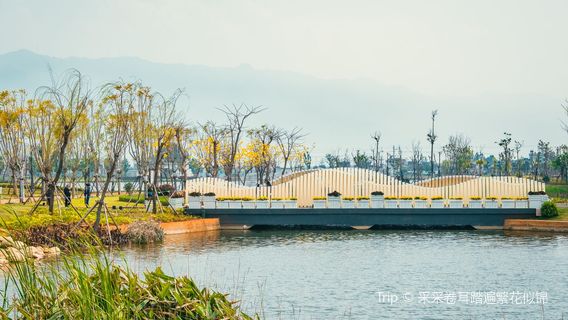 Changqiaohai-Datunhai Marsh