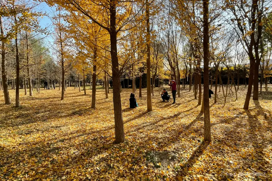 Gaolizhang Agricultural Leisure Park