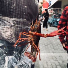 LOBSTER MONSTRE 여행 사진