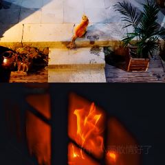 廈地咖啡屋張用戶圖片