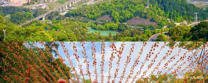 Shaxian District
