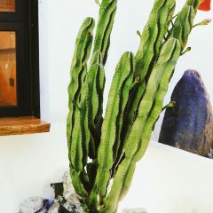 Tawa牛排兽市(三坊七巷店) User Photo