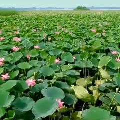 邻里印象 여행 사진