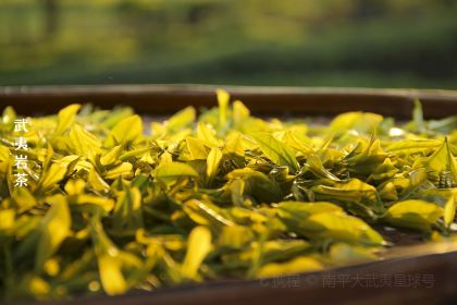 阿练哥正宗岚谷熏鹅