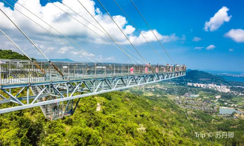 ป่าฝนยานั่วต๋า