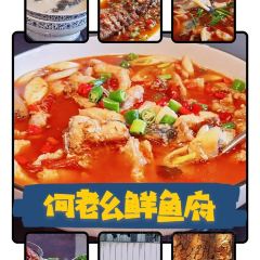 何老幺鲜鱼府(绵阳店) User Photo