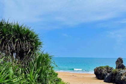 YUAN XIANG REN SHU SHANG GA FEI WU