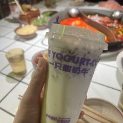 Yizhisuannainiu (beichengtianjie) User Photo