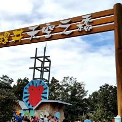 赤腳精靈 User Photo