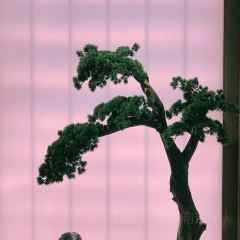 花时·炭火烧肉(东百元洪城店) User Photo