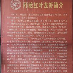 盱眙红叶龙虾 User Photo