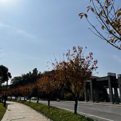 贵阳恒世纪酒店·恬中餐厅 User Photo