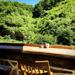 橡树红了中餐厅 User Photo