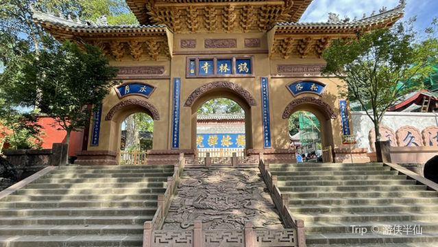 Колледж леса