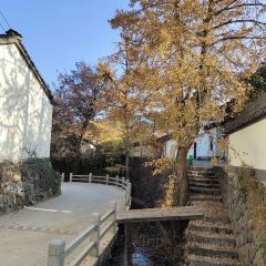 梅峰饭店 User Photo