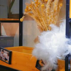 慕啡咖啡(中央公馆店) User Photo