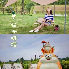 馬路隔壁羊駝咖啡BAR張用戶圖片