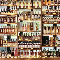 TIPSY HOUSE 여행 사진