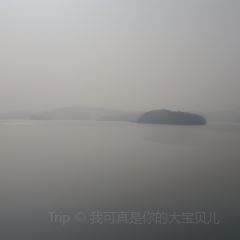 光山縣潑河鎮三裡橋土菜館張用戶圖片