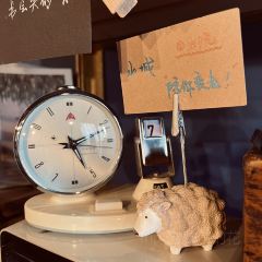 后院 여행 사진