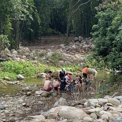 罗浮山天然谷(那里花开店) User Photo