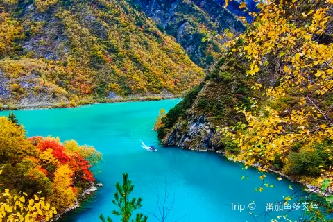 Songping Valley Scenic Area