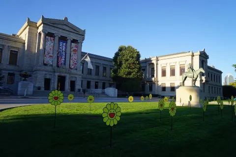 Museo delle Belle Arti