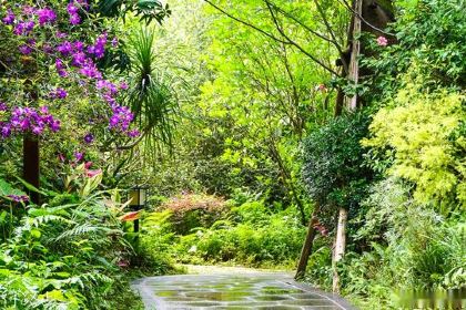 新兴禅泉度假酒店·品味西餐厅