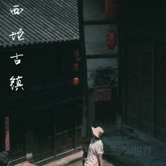 华莱士·全鸡汉堡(西沱古镇店) 여행 사진