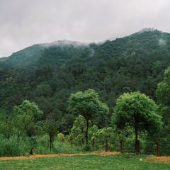 融創由心谷·知味由心餐廳張用戶圖片