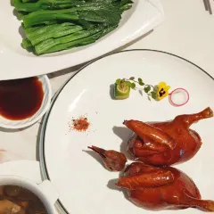 福临金阁(奥园店) User Photo