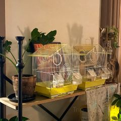 吉舍Cafe&Bar(埂子街店) 여행 사진