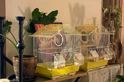 吉舍Cafe&Bar(埂子街店)