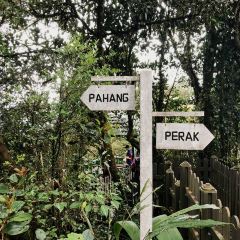 Starbucks User Photo