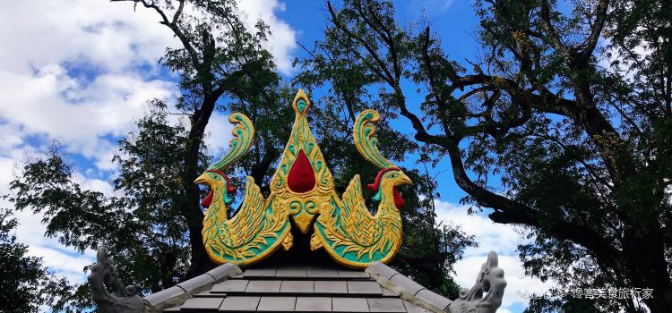 景亢傣旺象莊園