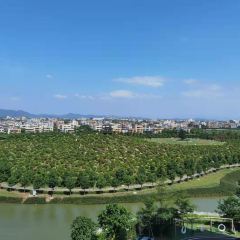 千花洲西餐廳張用戶圖片