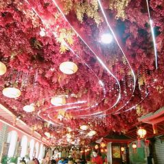 丽都国际大酒店巴蜀崽火锅城 User Photo
