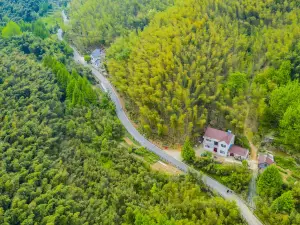 Jishan Bamboo Sea Scenic Area