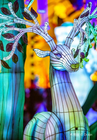 Rupingchuantongzhanshuicai