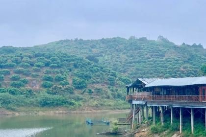 龙安小渔村(北流店)